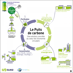 Fermentalg teste un puits de carbone à Paris
