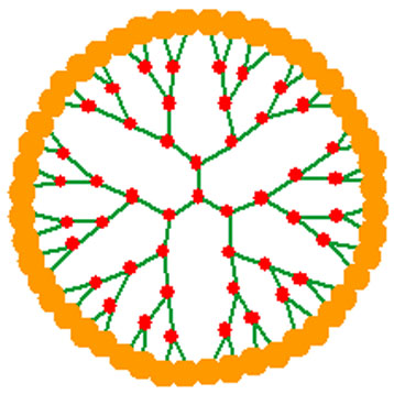 dendrimère, une architecture arborescente - crédit Anne-Marie Caminade Laboratoire LCC6CNRS