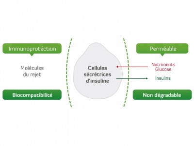 schema_principe_FR©Defymed (1)