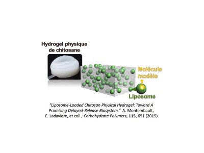 Carbohydrate Polymers