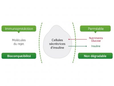 DEFYMED-Schema_principe_FR-Defymed 