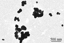 Nanoparticules de dioxyde de titane (E171)© Inra, Toxalim