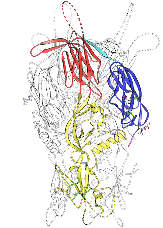 image-proteine-hap2-institut-pasteur