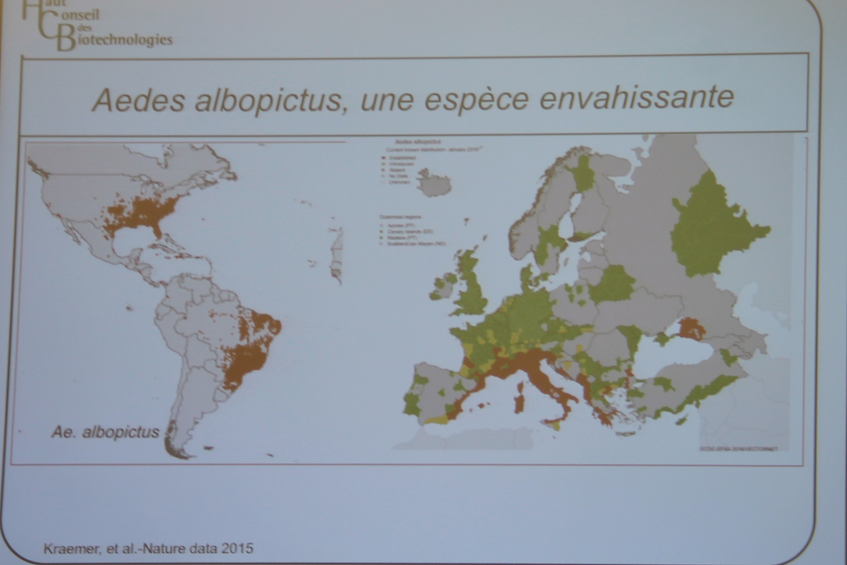 répartition des moustiques Aeres albopictus dans le monde