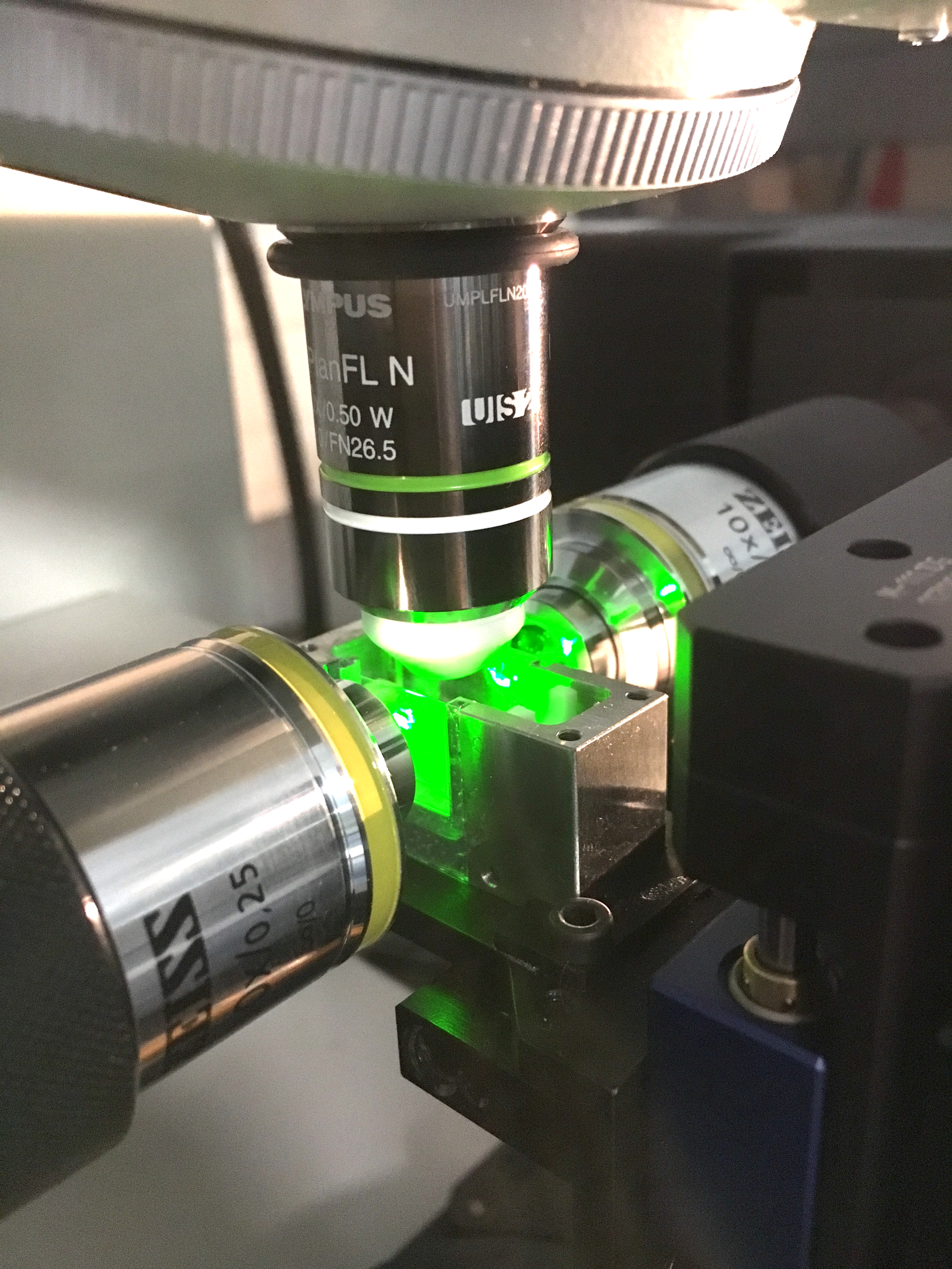 microscope à fluorescence