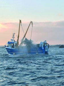 La récolte des algues dans la mer d'Iroise. (© Algaia)